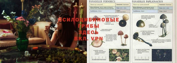 кристаллы Алексин