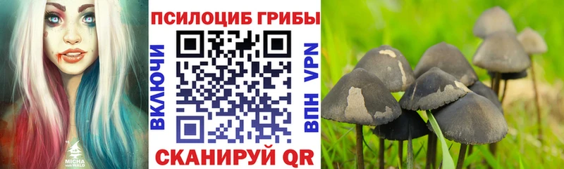 Галлюциногенные грибы ЛСД OMG ТОР Белоозёрский